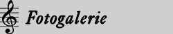 Fotogalerie